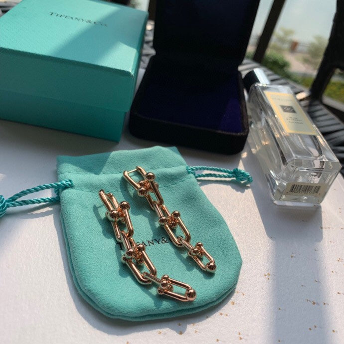 18K Tiffany HardWear Graduated Link Earrings